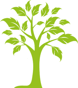 Growing Tree 5 Icon
